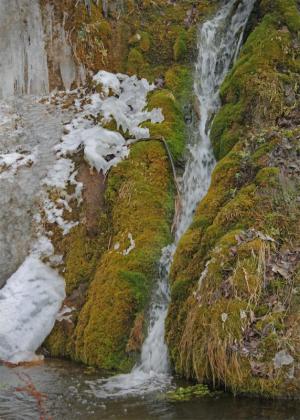 Competition entry: Whispering Falls