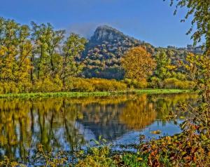 Competition entry: FALL COLORS IN GOOSE ISLAND