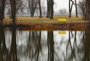 Competition entry: Rainy Reflection