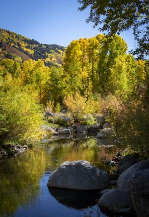 Competition entry: Tranquility in Aspen