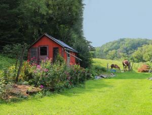 Competition entry: Pink Shed