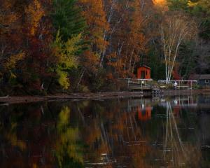 Competition entry: Colors of Fall