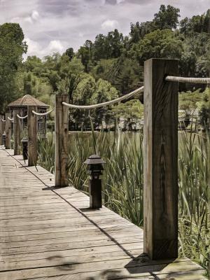 Competition entry: Watery Walkway