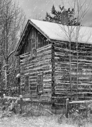 Competition entry: Little House in the Big Woods