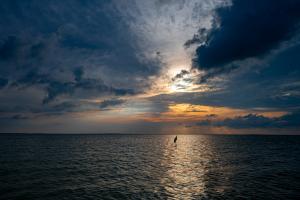 Crane, Suset, Holbox