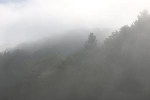 Competition entry: Morning Fog In The Valley