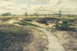 Competition entry: Cordwalk Through the Dunes