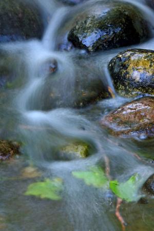 Competition entry: FLOWING OVER THE ROCKS