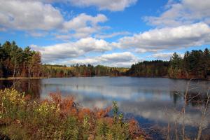 Competition entry: Lake in Fall