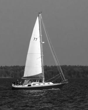 Competition entry: Great Lakes Sailor