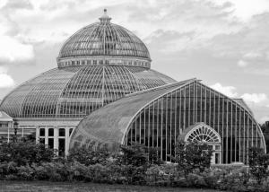Competition entry: Marjorie McNeely Conservatory