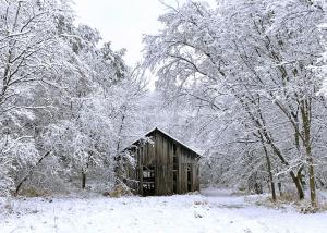 Competition entry: Old Shed in Winter