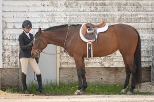 Competition entry: A Quiet Moment Before the Show