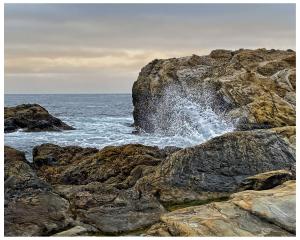 Competition entry: Point Lobos State Natural Reserve,  California
