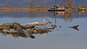 Competition entry: 2 Cranes and a Gull