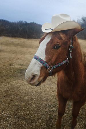 Competition entry: Definitely not for Me