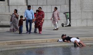 Competition entry: Reflective Pool Nap