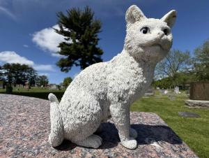 Competition entry: Guardian