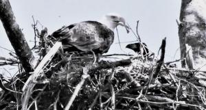 Competition entry: Lunch time