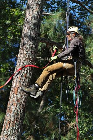 Competition entry: Ali giving his in-laws more gray hairs