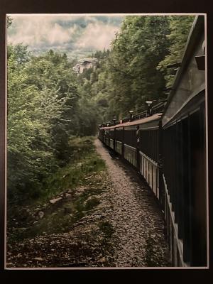 Competition entry: Train ride in Alaska