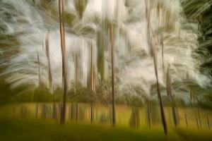 Competition entry: Fall Explosion