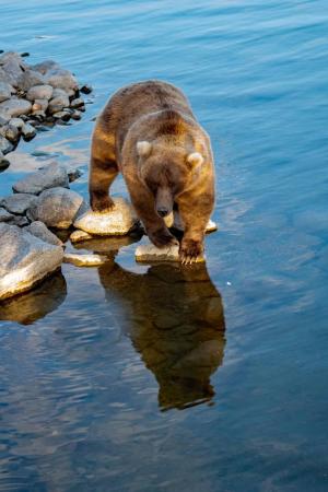 Competition entry: reflection