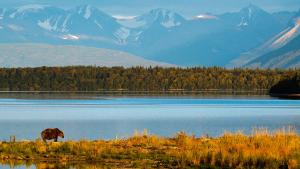 Competition entry: Alaska's Beauty