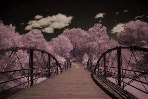 Competition entry: Brown Bridge