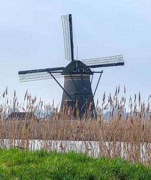 Competition entry: Kinderdijk  Dutch Windmill