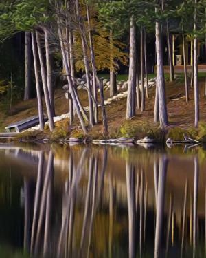 Competition entry: Perfect Reflection