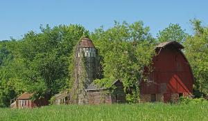 Competition entry: Overgrown Barn