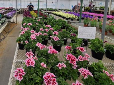 La Crosse Floral Greenhouse