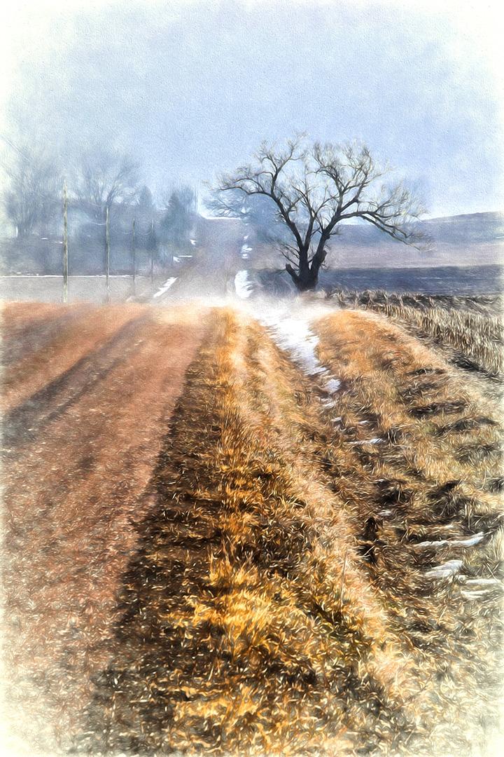 Competition entry: Joseph Jones Road