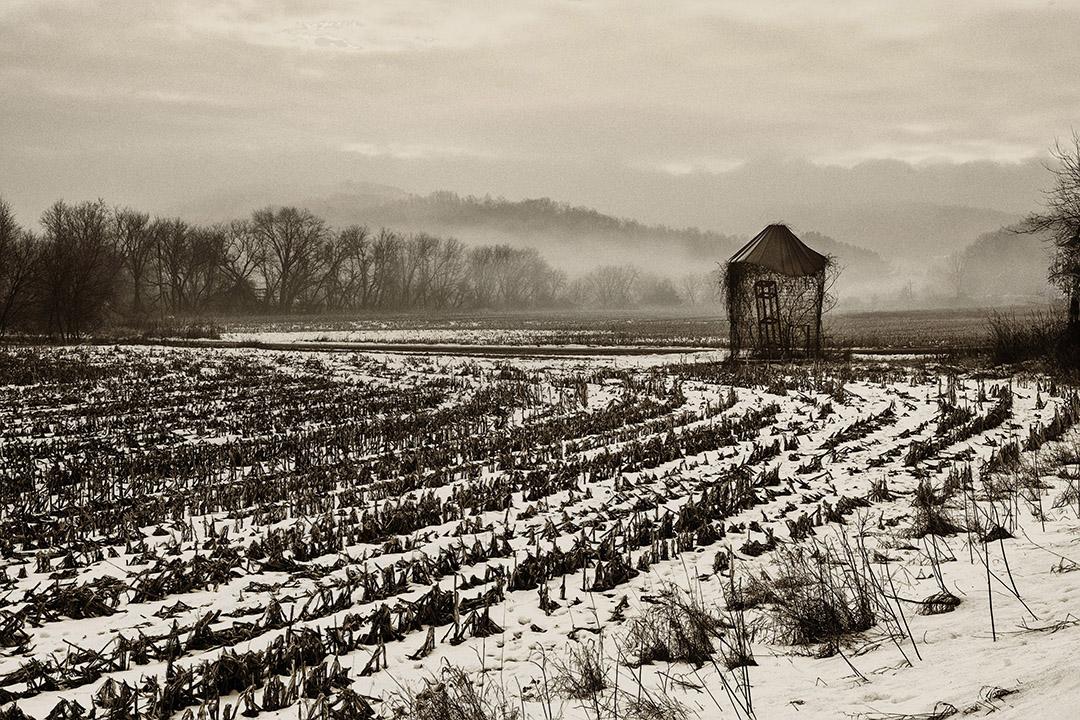 Competition entry: Forgotten Corncrib 