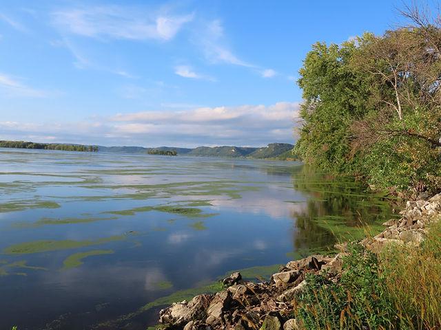 Picture of the mississippi river