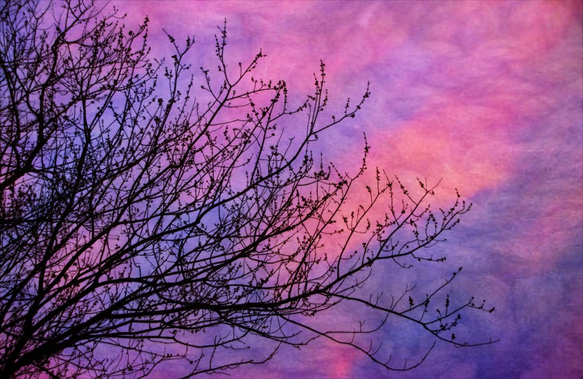 Competition entry: Cotton Candy Sky