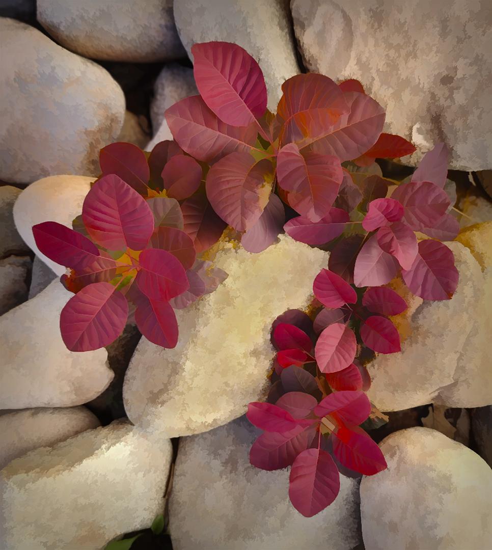 Competition entry: Through the Rocks