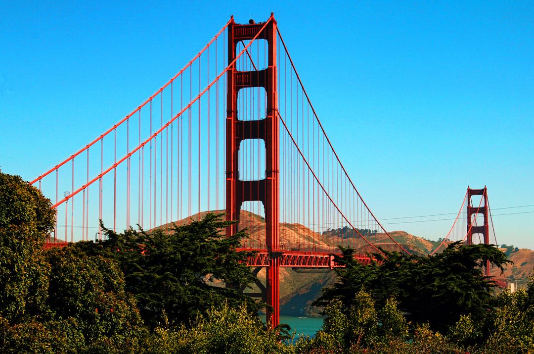 Competition entry: Sand Francisco Landmark