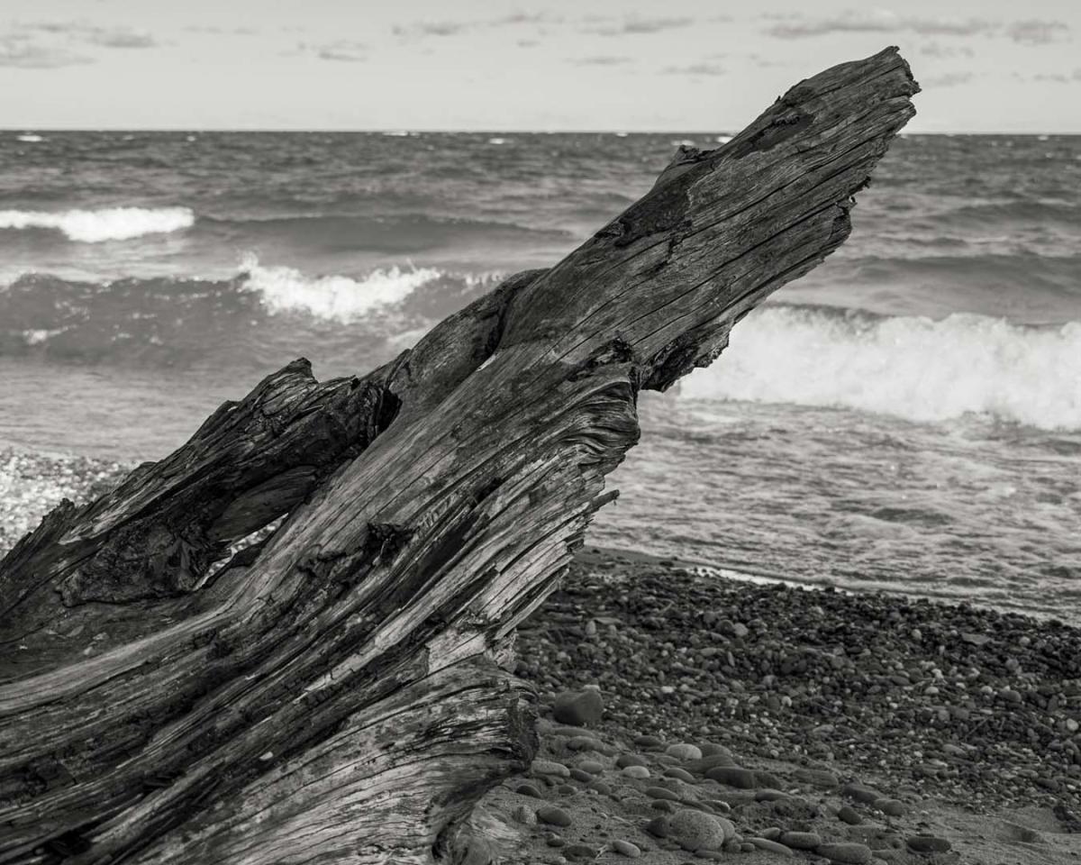 Competition entry: Washed A Shore