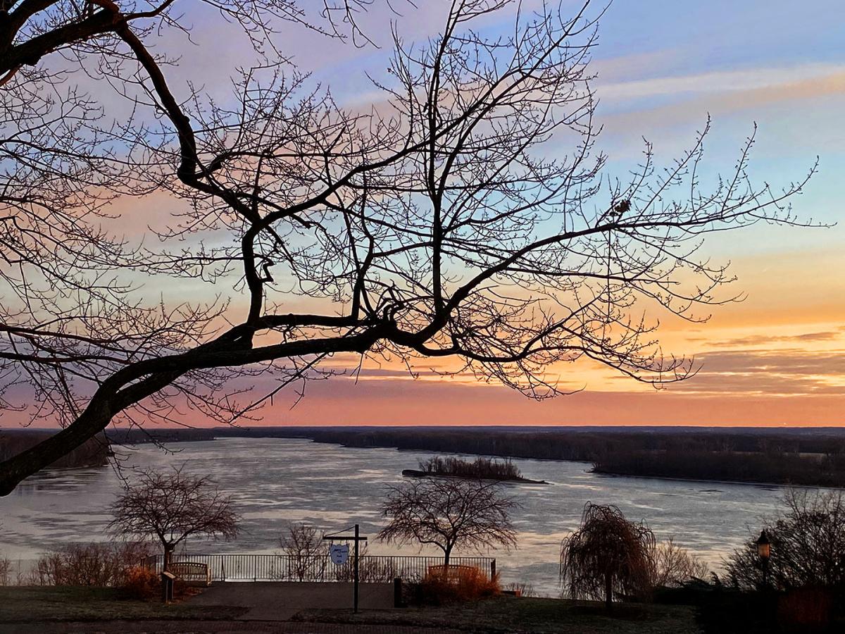 Competition entry: Mosquito Park