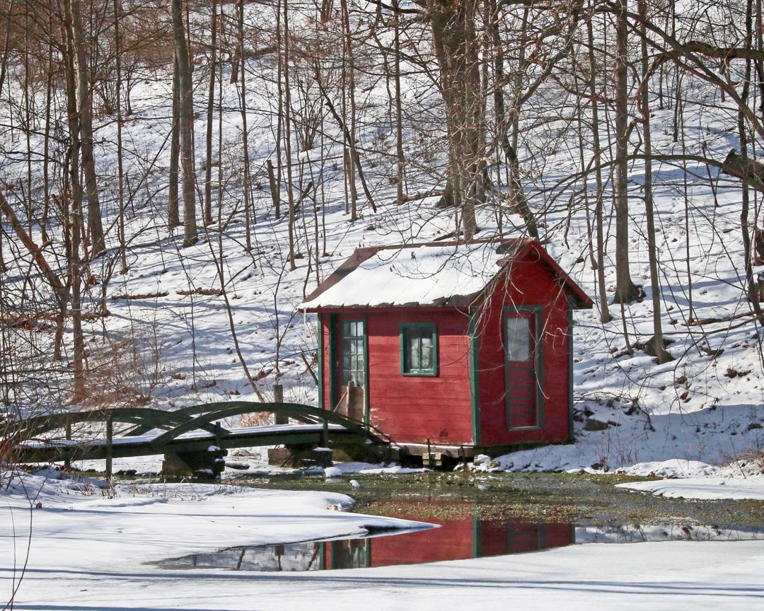 Competition entry: Little Red Shed