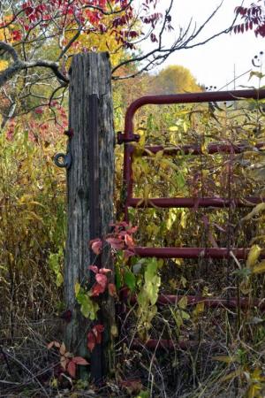 Competition entry: Rusty Gate