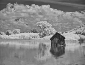 Competition entry: Submerged Shack
