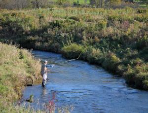Competition entry: Man Fishing