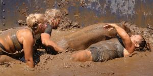 Competition entry: Hog Wrestling