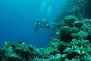 Raja Ampat, Indonesia