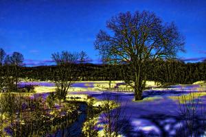 Competition entry: Magical Meadow