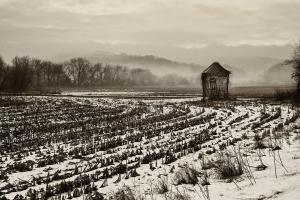 Competition entry: Forgotten Corncrib 