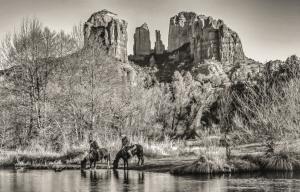 Competition entry: Wild Wild West 